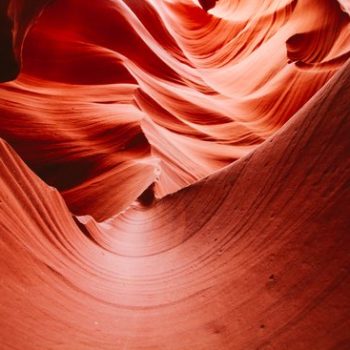 Insolvency in a time of COVID-19